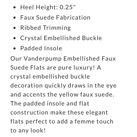 BEAUTIFUL SUEDE FLATS WITH BLING    NEW IN BOX - Picture 11 of 11